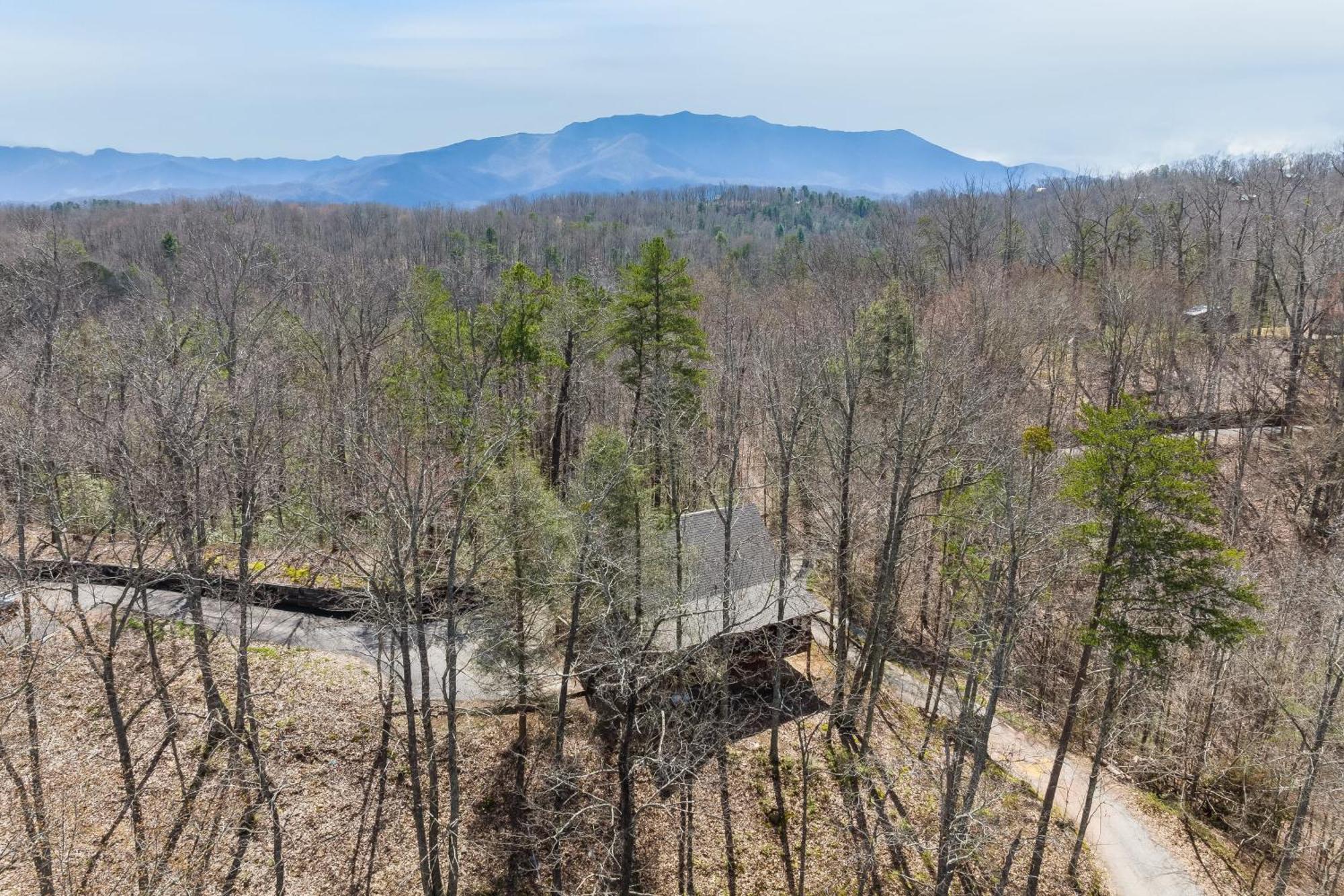 Dudley IV By Avantstay Cosy Cabin W Hot Tub Sweeping Views Pigeon Forge Eksteriør billede